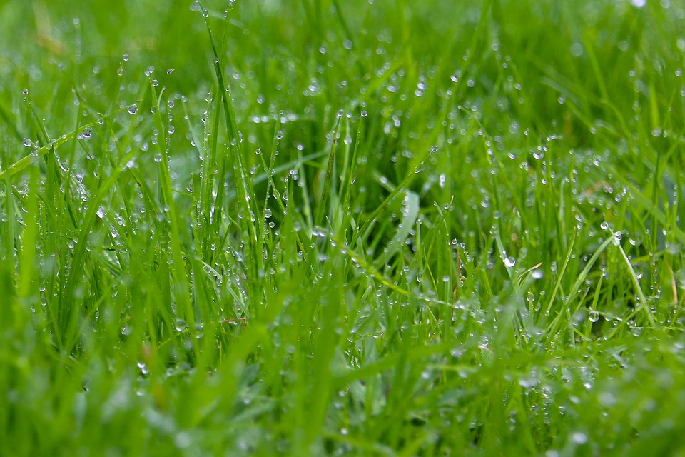 Afterpay and Overspending: How to Stay in Control