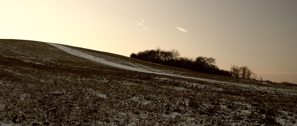 Catchy & Intriguing: