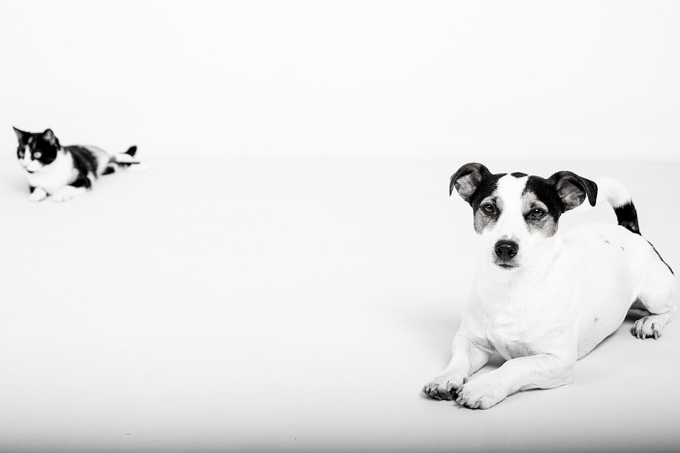 Get a FEIN to Open a Business Bank Account: Here's How