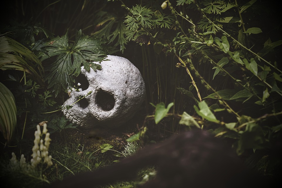 High-Risk Doesn't Mean High Failure: Payment Solutions for Challenged Businesses