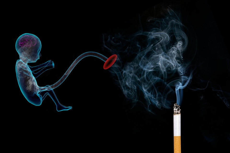 Is Your Payment Processor Killing Your High-Risk Business?