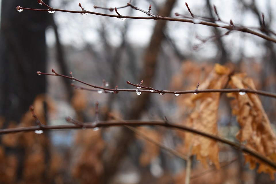 Merchant Services: A Beginner's Guide