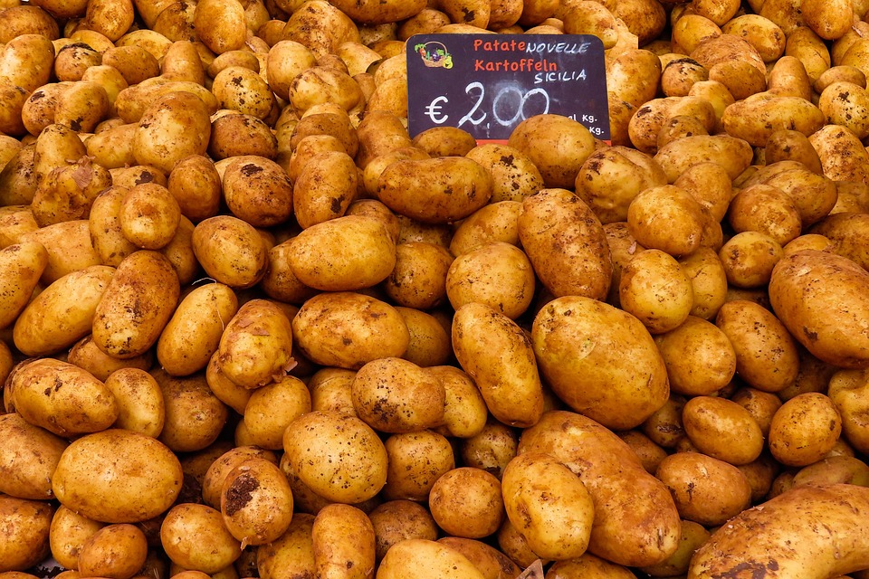 Merchant Services: How to Select the Right Provider for Your Business