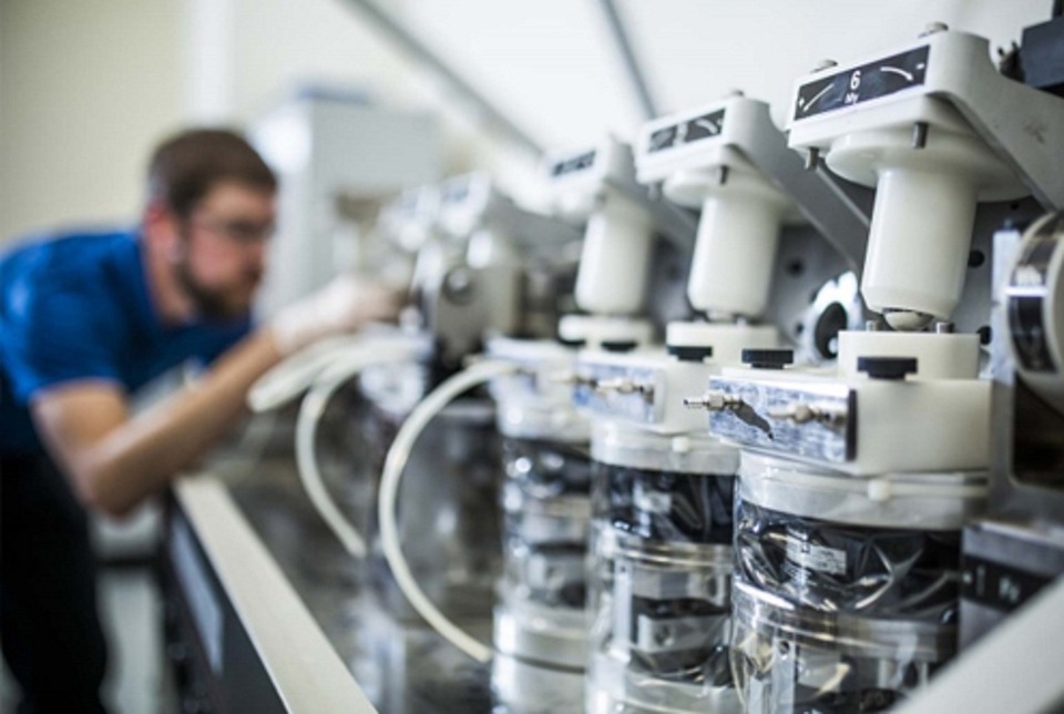 Nonprofit Merchant Processing: Secure and Cost-Effective Solutions