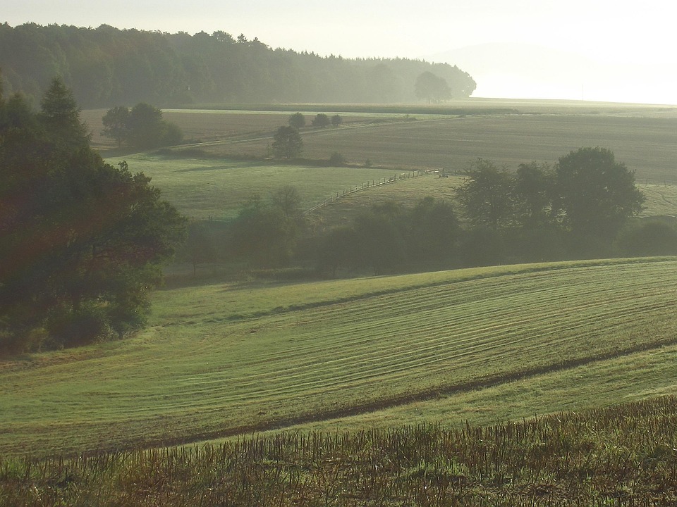 PayPal's Innovation Pipeline: What's Next for the Payments Giant?