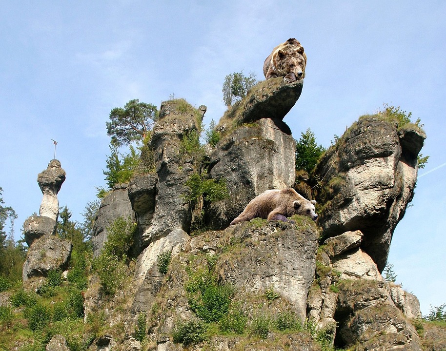 [Specific Provider A] vs. [Specific Provider B]: Which is Right for You?