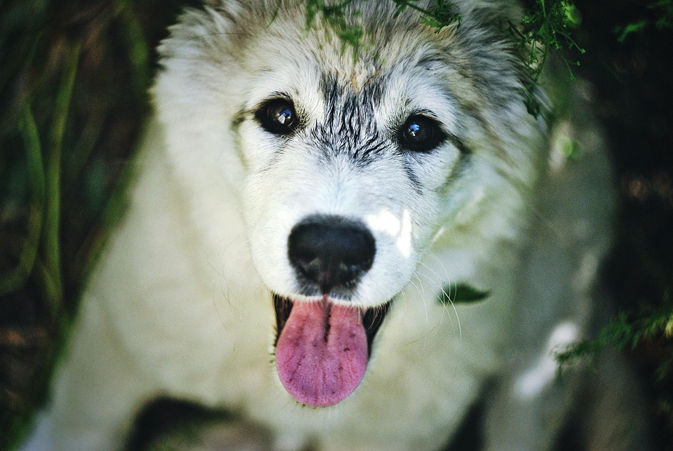 Straightforward & Informative: