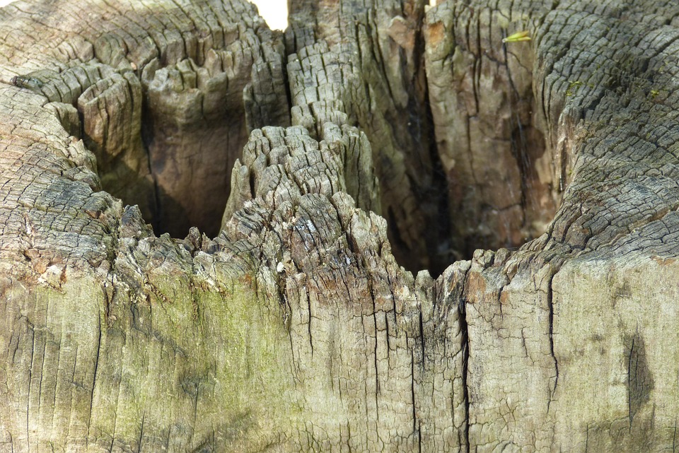 The Secret Weapon of Successful Businesses: Efficient Payment Processing